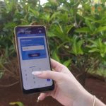 Cuba, entre los cinco entornos más hostiles del mundo para la libertad digital, según Freedom House